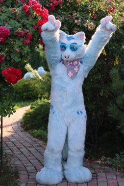 Bahçede sevimli bir kedi