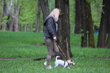 Parkta köpeği olan genç bir kadın.
