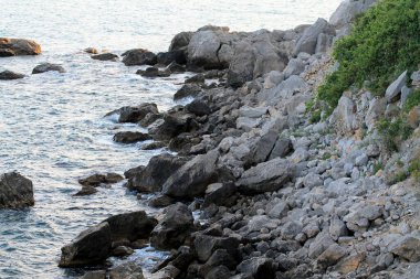 Kayalar ve kayalık plajlarda deniz dalgaları ve kayalar, taşlar ve mavi gökyüzü arka planda