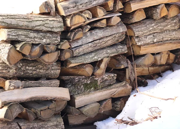 Pile Firewood Stacked Snow — ストック写真