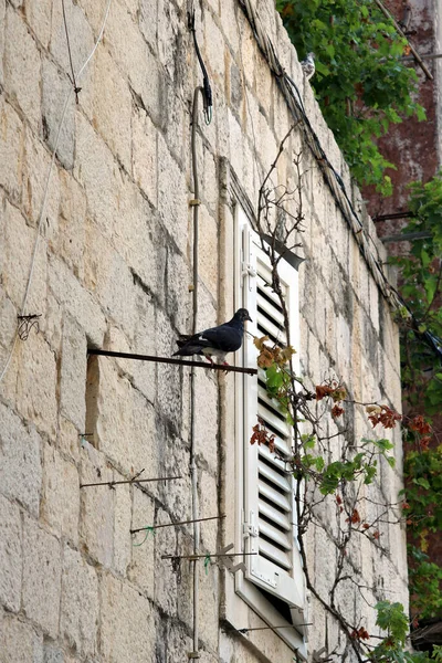 Halatlı eski taş bir duvar.