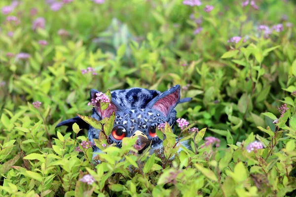 緑の草の上の美しいピンクの蝶 — ストック写真