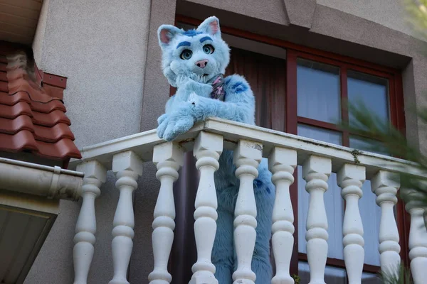 Gato Jardín — Foto de Stock