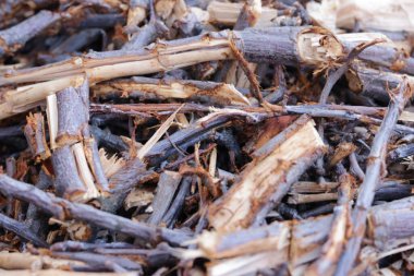 Ateş için odun yığını