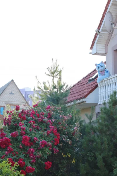 Şehrin güzel manzarası