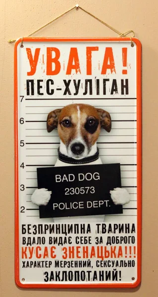Hond Winkel — Stockfoto