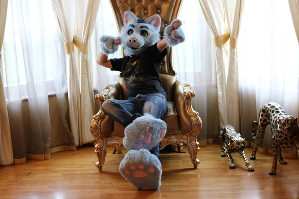 Кот Шляпе Сидящий Кресле — стоковое фото