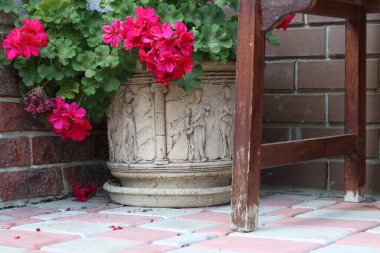 Bahçedeki güzel çiçekler