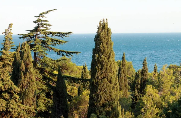 Güzel Deniz Manzarası Dağlar — Stok fotoğraf