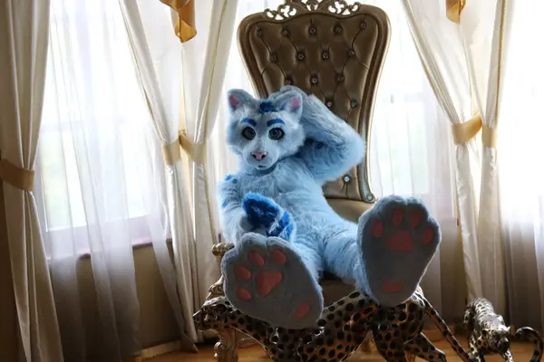 Kedi kanepede oturuyor.