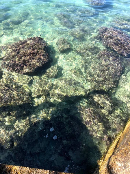 Vackert Havsvatten Med Koraller Och Fisk — Stockfoto