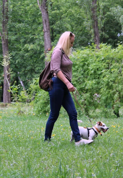 年轻女子和她的狗在森林里 — 图库照片