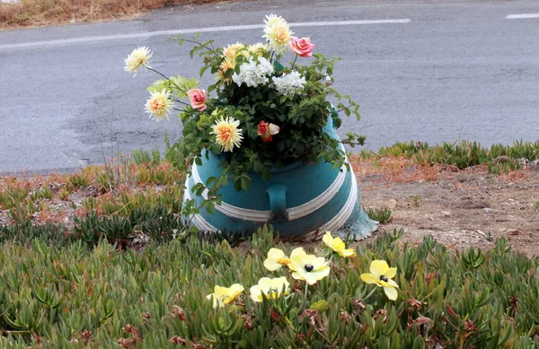 Красивий Знімок Квіткового Горщика — стокове фото