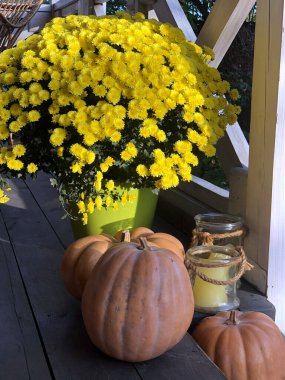 Kabak ve ayçiçeği ile sonbahar natürmort