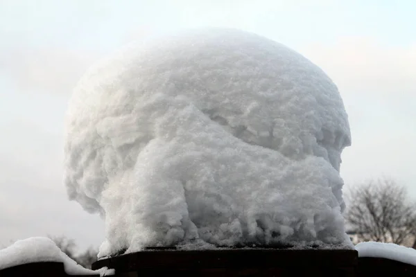 Árboles Cubiertos Nieve Invierno —  Fotos de Stock