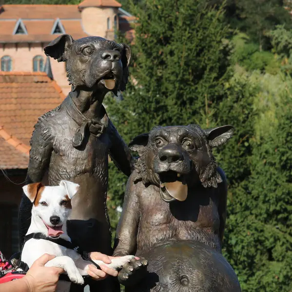Σκύλος Κοντά Στο Μνημείο Αγάλματα Ενός Σκύλου Και Ενός Λύκου — Φωτογραφία Αρχείου