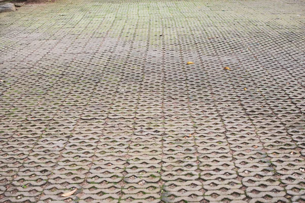 Πάτωμα Είναι Φτιαγμένο Από Όμορφα Τούβλα Πέτρα Meterial — Φωτογραφία Αρχείου