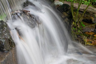 Küçük şelale, nehirde akan su ormandaki güzel şelale ortamı.