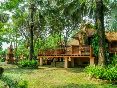 Güzel bir parkta ve binalarda yeşil çimenler ve ağaçlar