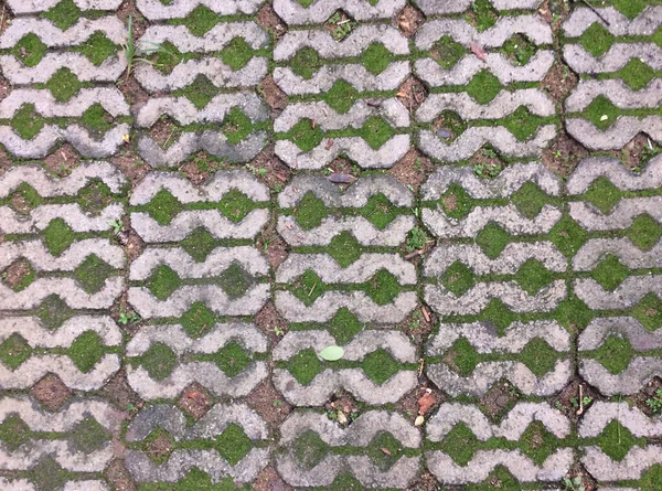 Brick Background Ταξινόμηση Στο Όμορφο Πάτωμα — Φωτογραφία Αρχείου