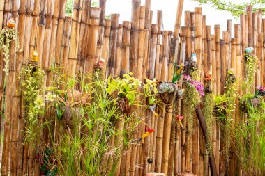 Bambu arka planındaki ağaç