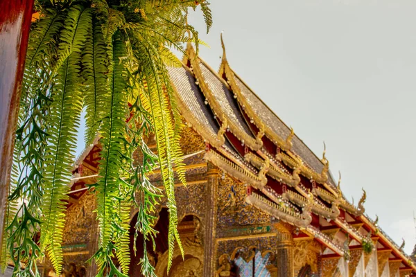 Telhado Templo Muito Bonito — Fotografia de Stock