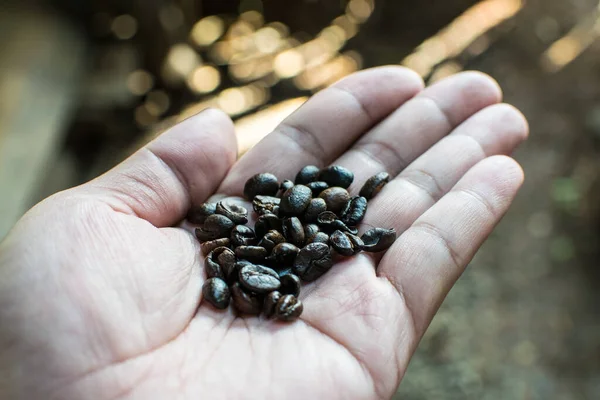 Roasted Coffee Beans Decorate Coffee Shop Decorate Brown Espresso Black — Stock Photo, Image