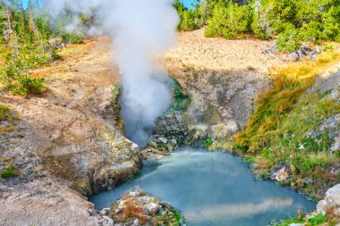 Yellowstone Ulusal Parkı 'nda Ejderha Ağzı Baharı