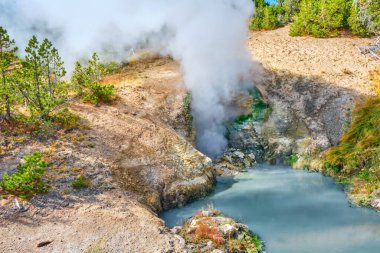 Yellowstone Ulusal Parkı 'nda Ejderha Ağzı Baharı