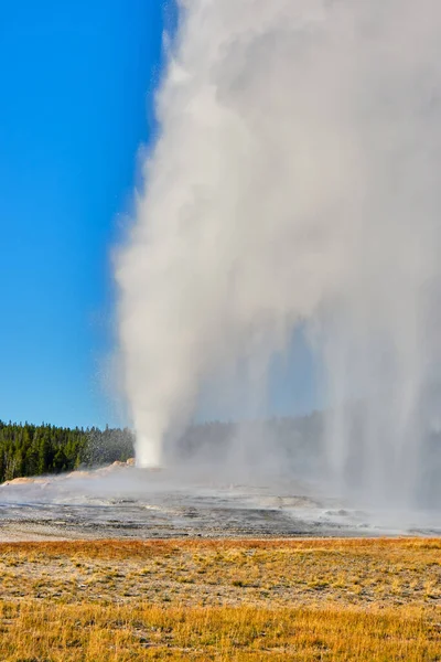 Yellowstone Ulusal Parkı 'nda eski Sadık koni gayzerleri