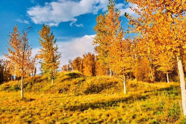 Grand Tetons 'da sonbahar sabahı