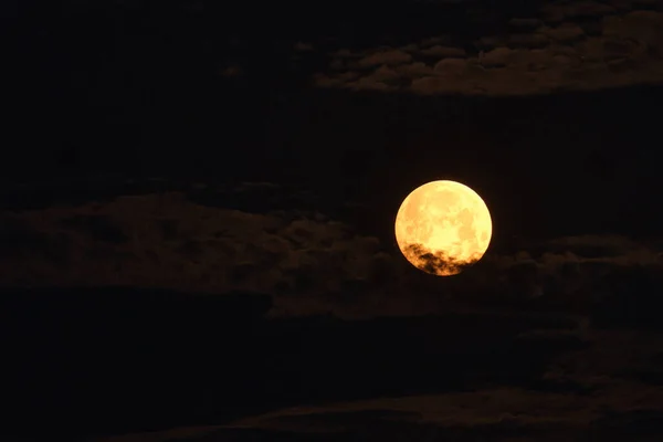 Ay tutulmasından kısa bir süre önce Mayıs ayında dolunayda çiçek kanı.