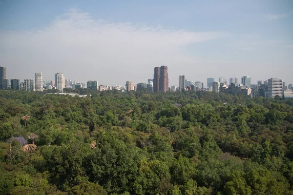 View of the skyscrapers in Mexico City from the Chapultepec Castle