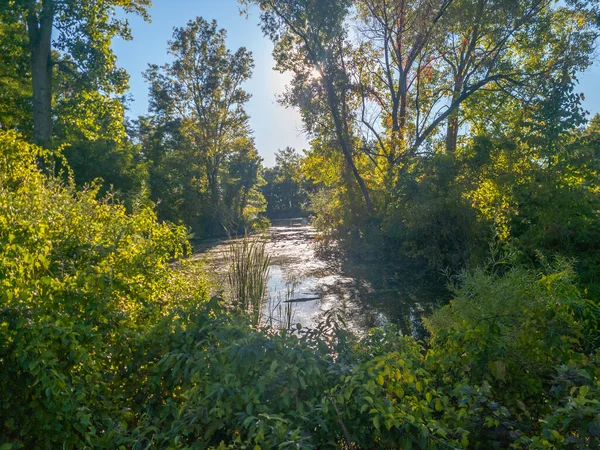 Açık bir günde Milford, Michigan yakınlarındaki Kensington Metropark 'ta bir gölet. Güneşin suya yansıması görülebilir..