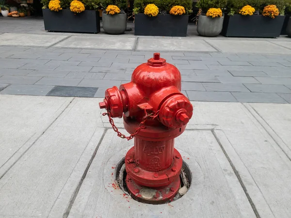 Detroit şehir merkezinde kırmızı bir yangın musluğu kaldırımda asfaltlı bir caddenin yanında.