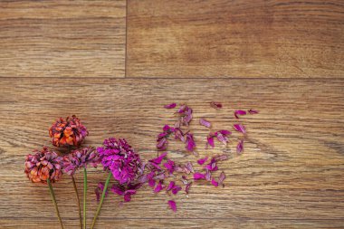 Kuru Çiçekler Biçimli Stok, Şişe Pembe Magenta Kırmızı Çiçekler, Ahşap zemin, ahşap arka plan