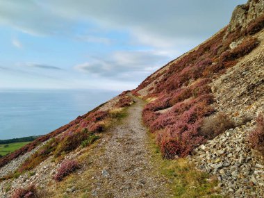 Doğanın güzel manzarası