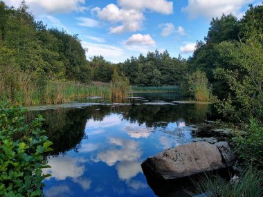 Wigan 'daki göletlerden biri İngiltere' nin kuzeybatısındaki Lancashire 'da doğa koruma alanına girdi.