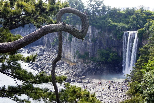 Cascada Jeongbang Isla Jeju Corea Del Sur — Foto de Stock