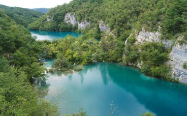 Plitvice Gölleri Hırvatistan Cumhuriyeti 'nin en eski ve en büyük ulusal parkıdır. Bu bölgenin olağanüstü doğal güzelliği her zaman doğa severler tarafından cezbedilmiştir. Bunun bir sonucu olarak,