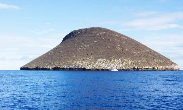 Галапагосские Острова Состоят Вулканической Породы Растительность Правило Ограничена — стоковое фото