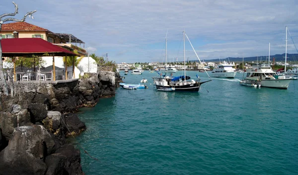 Marina Puerto Ayora Santa Cruz Galapagos Islands Ecuador — стокове фото