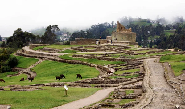 Ingapirca Situé Dans Sud Des Andes Équateur Particulier Dans Province — Photo