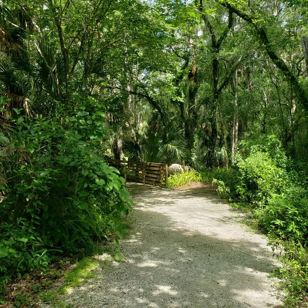 Entrance Nature Hike — Stock Photo, Image