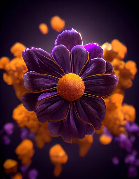 Kwitnący Fioletowy Fioletowy Afrykański Marigold Wysokiej Jakości Ilustracja Wiosenna Dekoracja — Zdjęcie stockowe