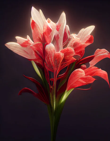 Wielki Blomming Czerwony Afrykańska Lilia Magicznym Zapachem Wysokiej Jakości Ilustracja — Zdjęcie stockowe