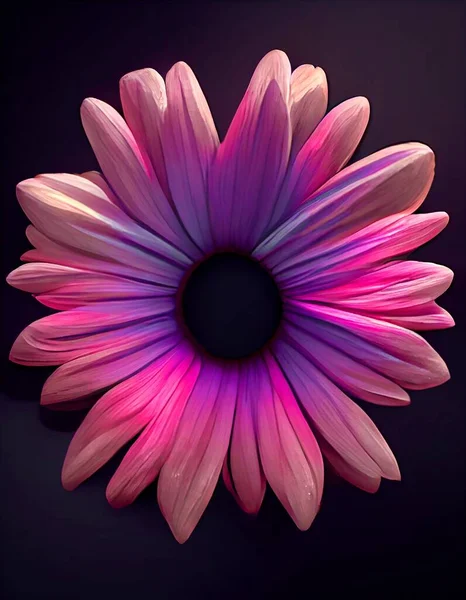 Magie Rose African Daisy Gros Plan Avec Des Fleurs Floues — Photo