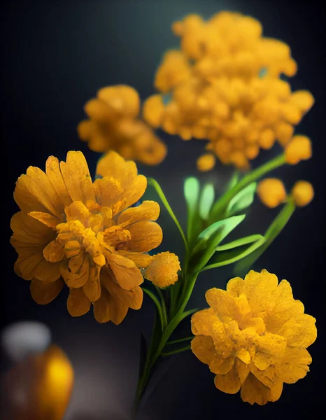 Une Tige Avec Beaucoup Charme Jaune African Marigold Close Illustration — Photo