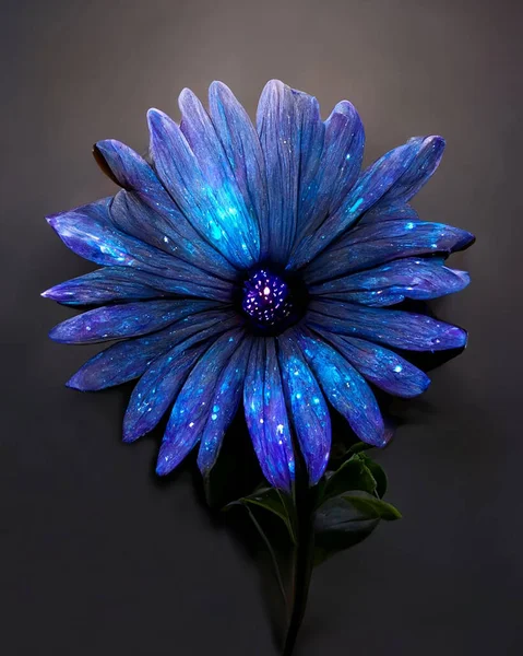 A stem with charming blue, African Daisy close-up. High quality illustration