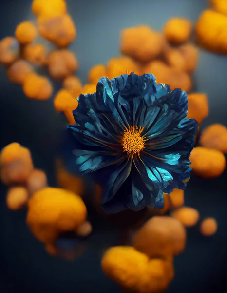 Niebieski Afrykański Marigold Znany Również Jako Tagetes Erecta Wizualizacja Wysokiej — Zdjęcie stockowe